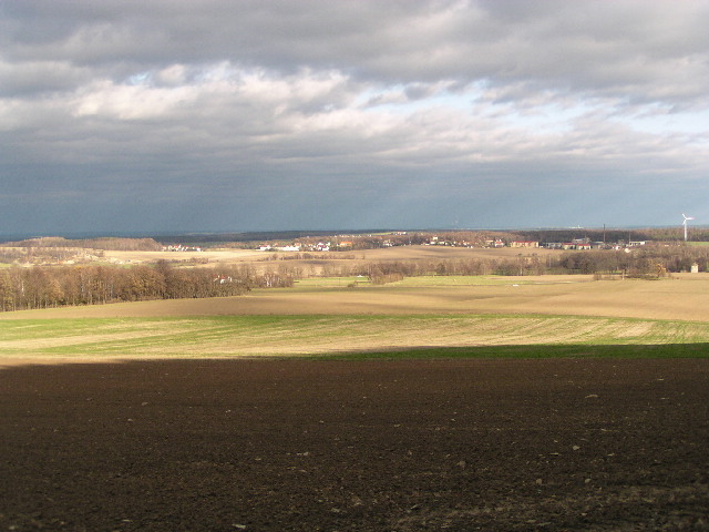 image4
