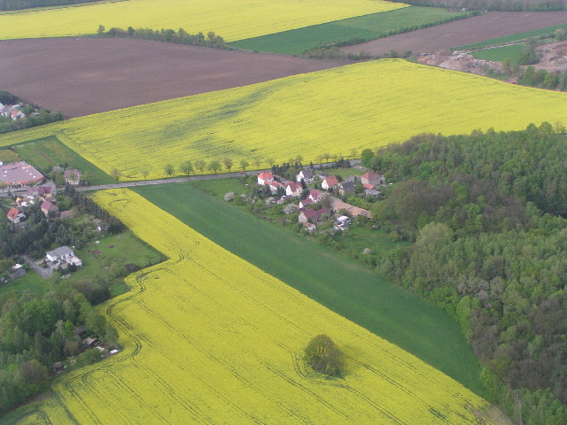 image13