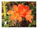 thumbnail2