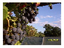 thumbnail3