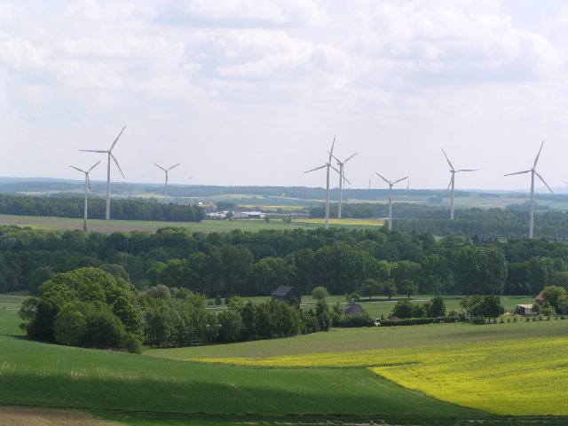 image6