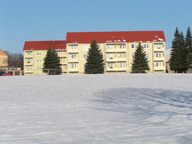 image11