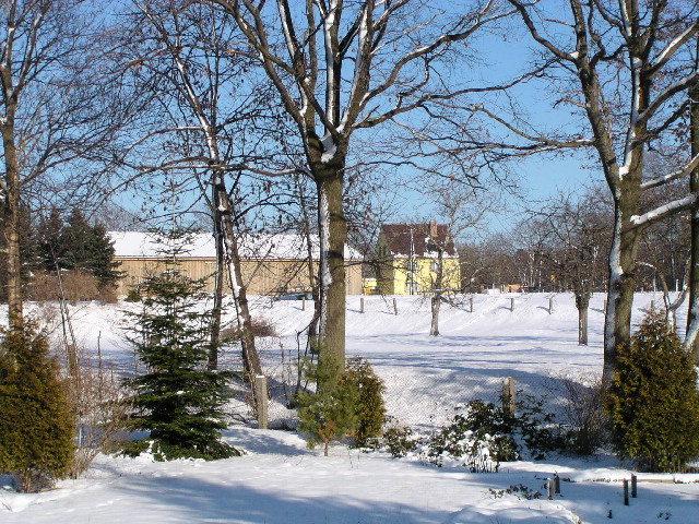 image7